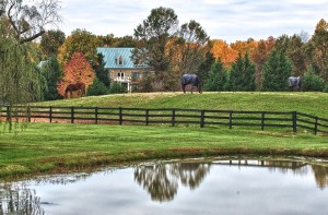 Middleburg Virginia Horse Country